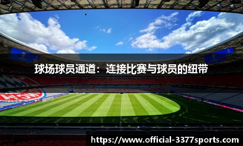 3377体育